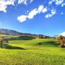 随遇而安爱学习84281的个人资料头像