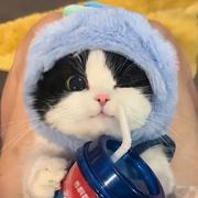 一只煎饼的个人资料头像