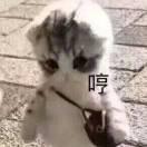 微的个人资料头像