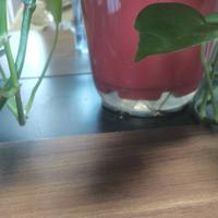 飚风族贤二马小胖头像