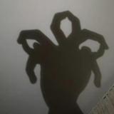 平常心35560头像