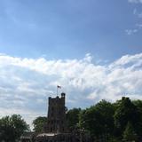 太平洋汽车租赁有限公司头像