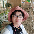 小草妹生活好物头像