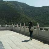谢特羽头像