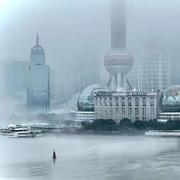 Willam范闲的个人资料头像