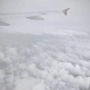 归辞的个人资料头像