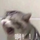 愚人头像