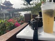 秋末残风的个人资料头像