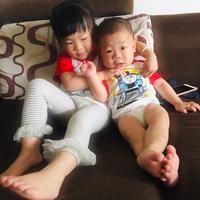 极速西瓜3T2头像