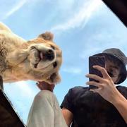 stardust968的个人资料头像