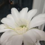user5849757108703头像
