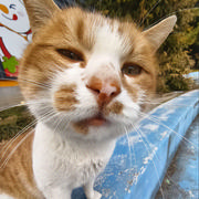 未名star的个人资料头像