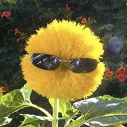 用户2340524010495的个人资料头像