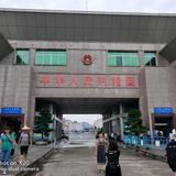 大树常青头像