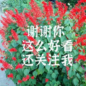 爱心使者8e2j头像