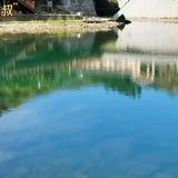王先生团购达人头像