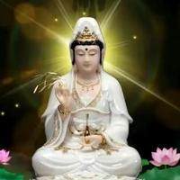 用户4346442646062头像