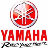 YAMAHA贴片机雷子头像