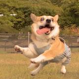 用户4365519956135头像