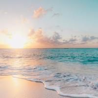 海天一色sy头像