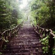 露白的个人资料头像