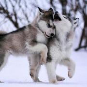 No404error的个人资料头像