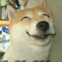 文东是我小弟头像