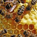 南阳仁川车源二手车头像