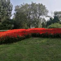 海阔天空777头像