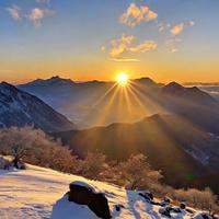 还是再也不吃泡面吧头像