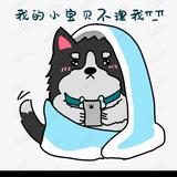 刚好飞过海头像