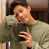 嘉禾望岗8529头像