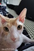 小马的打怪升级之路的个人资料头像