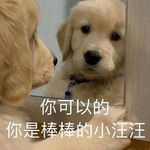 自由橙子dlw头像