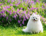 hanppyAndy的个人资料头像