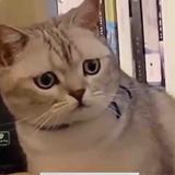 真的很怕取名头像