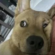 whnan的个人资料头像