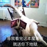 绵羊不痒头像