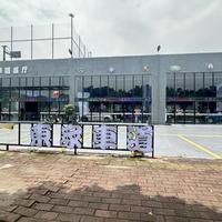 東家车道冰糖头像