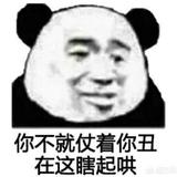 我不是猪才怪378头像