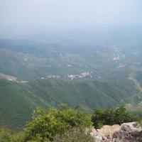 善行天下路长通头像