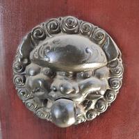 吴心冷若冰头像