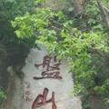 志成6606头像