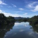 欧阳q的个人资料头像