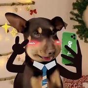 用户8922293847303的个人资料头像