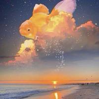 喵喵不吃小鱼干eee头像