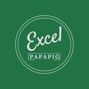 猪爸爸学Excel头像