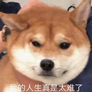 797的个人资料头像