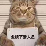 邱羽看世界头像
