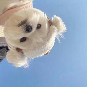 Port的个人资料头像